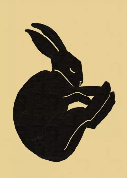 Bursic, Sharyn: Conejo dormido