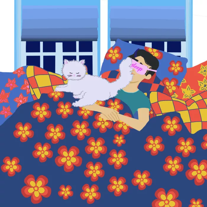 Rakos, Lynnda: Cozy dreams and Cat Cuddles
