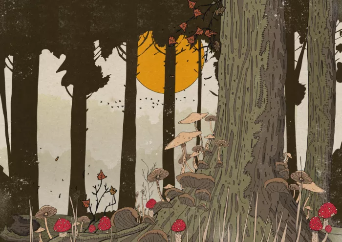 Nicholas: La forêt sauvage au crépuscule