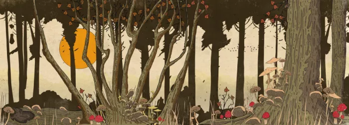 Nicholas: Ancienne forêt