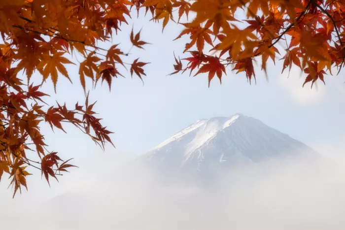 Razr, Dmitry: Fujisan