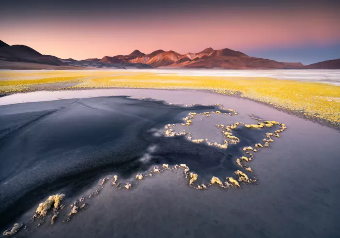 Nienartowicz, Karol: Atacama