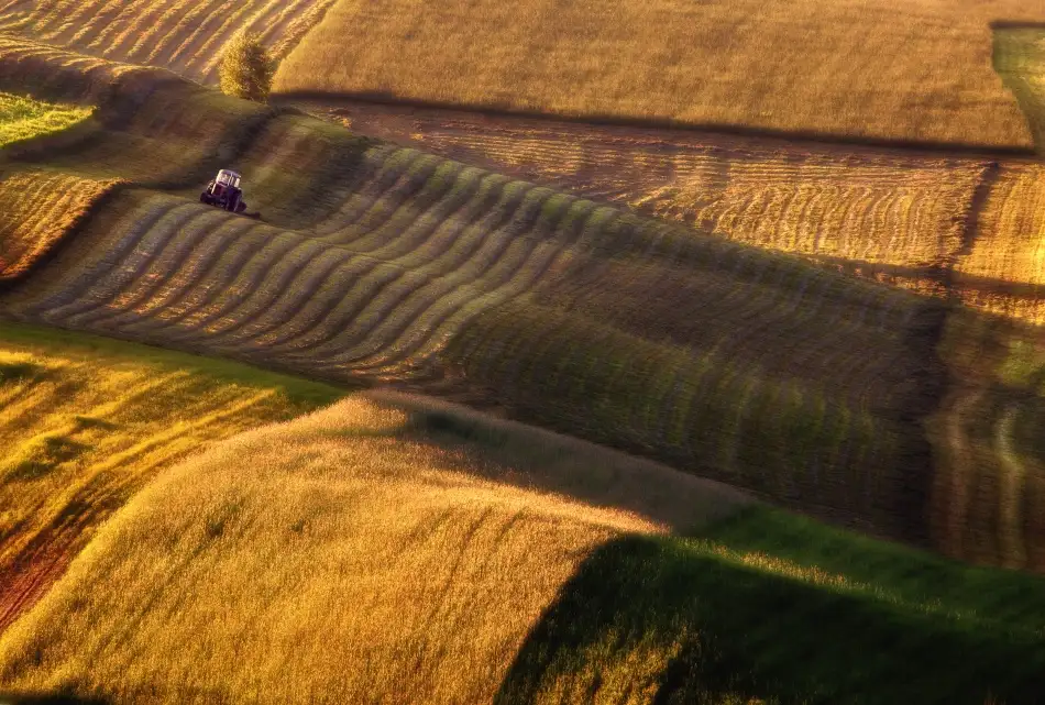 Kruk, Przemyslaw: tractor