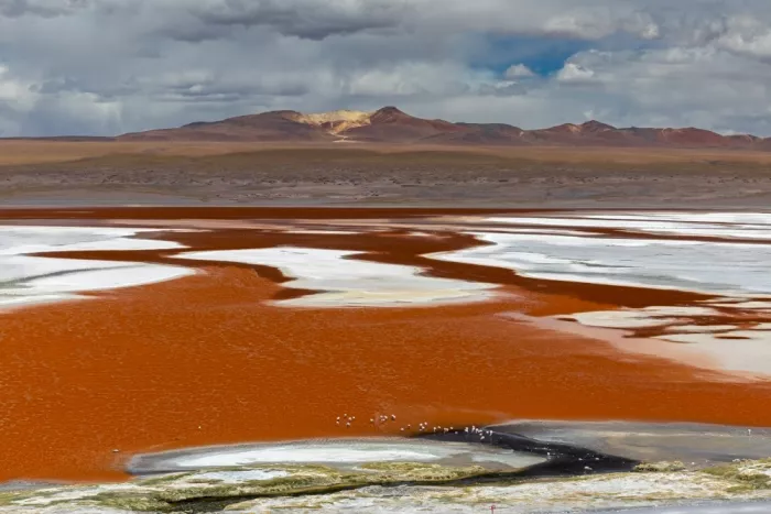 NOTO, DI GENNARO: Laguna colorada