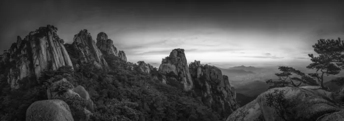 Seo, Tiger: Timeless Peak
