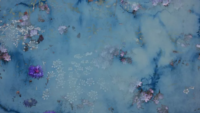 Stayte, Miriam: Pradera, azul intenso