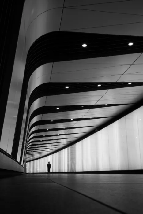 Rodgers, Ursula: Convergenza