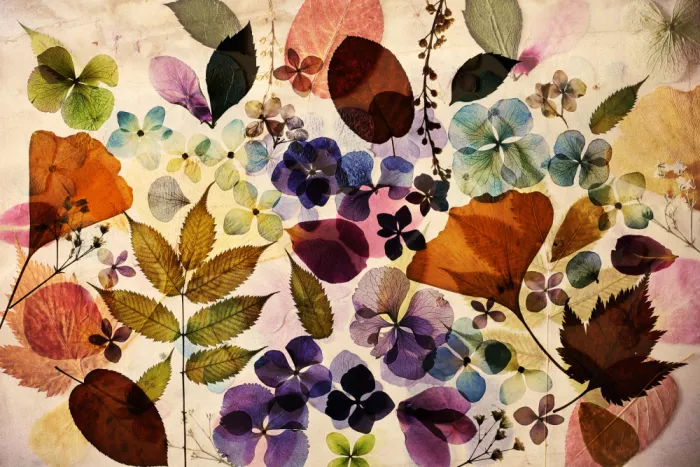 Deelen, van Ellen: Potpourri II
