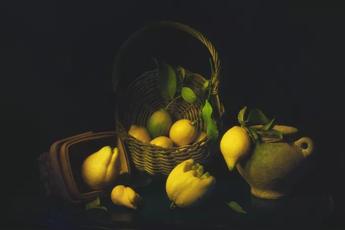 Jacobs, Lydia: Natura morta con limoni soleggiati
