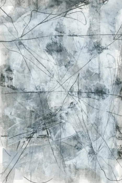 cartissi: Meridiano monocromo II