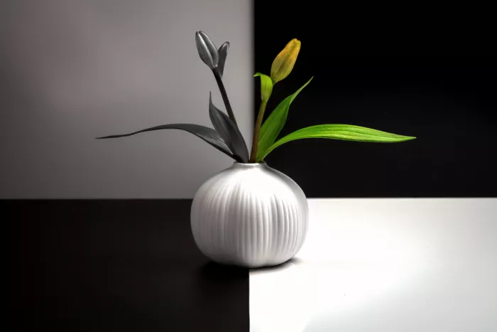 Li, Allan: Still Life