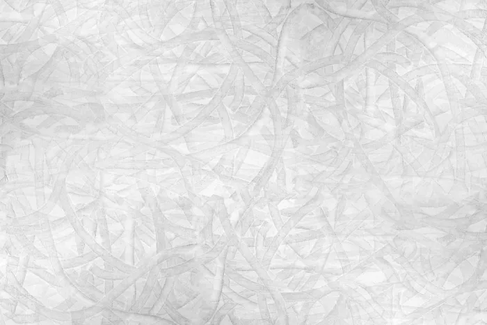 cartissi: Encaje Blanco y Gris Etéreo 2