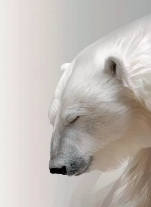 Jaszke, Justyna: Winter Animal Polar Bear 17