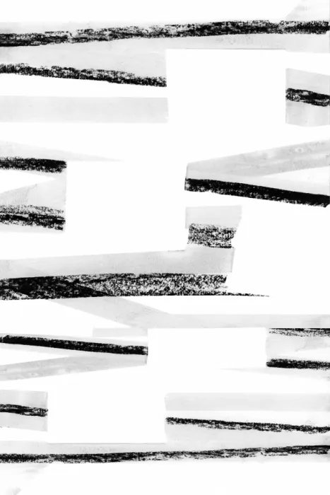 cartissi: Fragmentos lineales