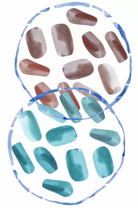 cartissi: Schwebendes Glas