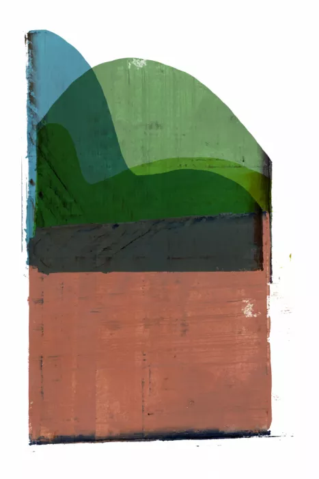 cartissi: Horizonte forestal