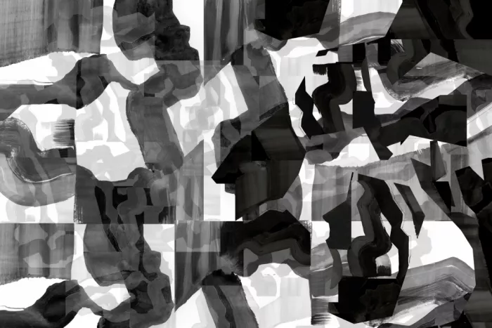cartissi: Monocromo rítmico