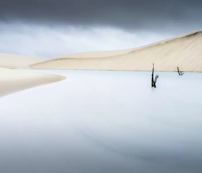 Bolton, Robert: Traces
