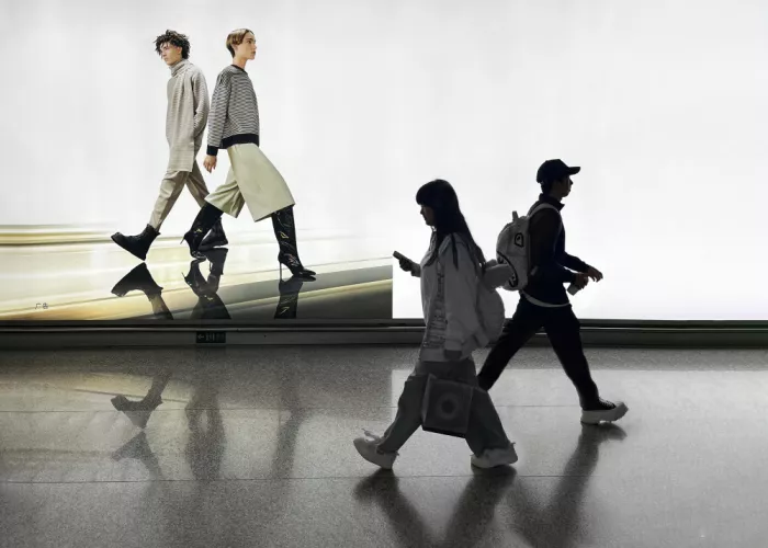 Wei, &amp Shi: Where Designed Dreams Meet Real Journeys