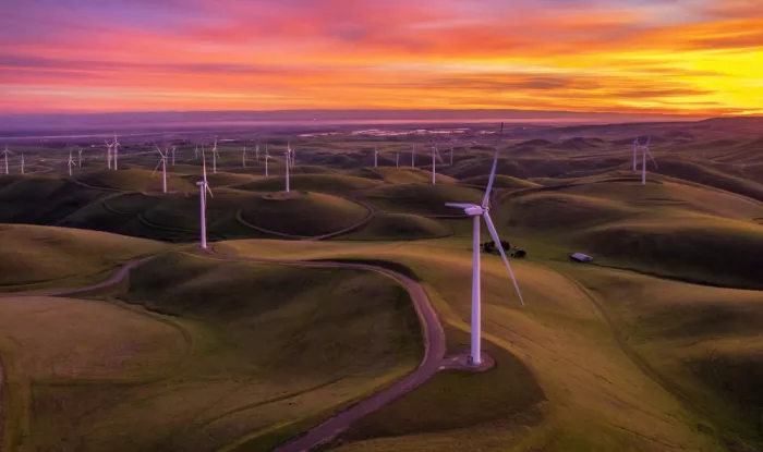 Qiu, Jenny: Dawn Over the Whispering Plains