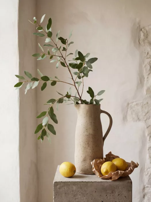 Magnusson, Andreas: Branche feuillue et citrons