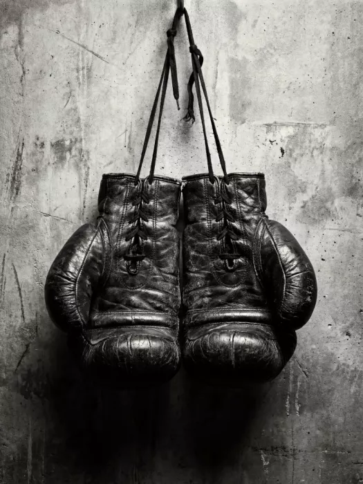Magnusson, Andreas: Guantes de boxeo retro