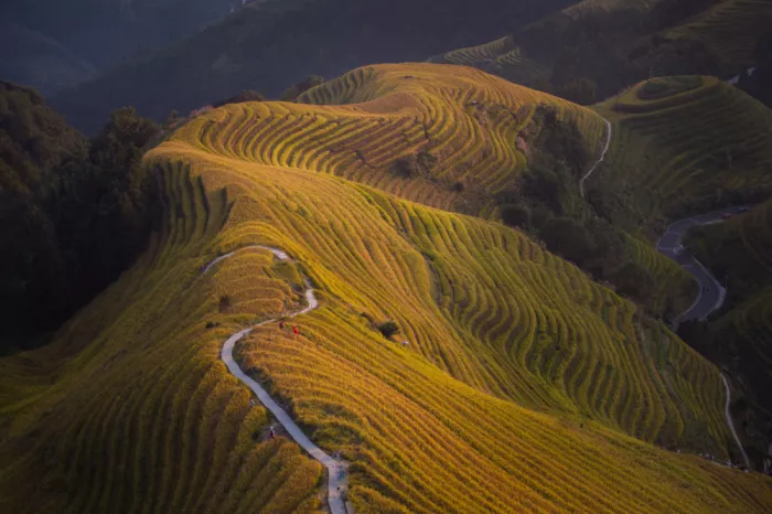 Zhang, Dennis: The dancer on the hills