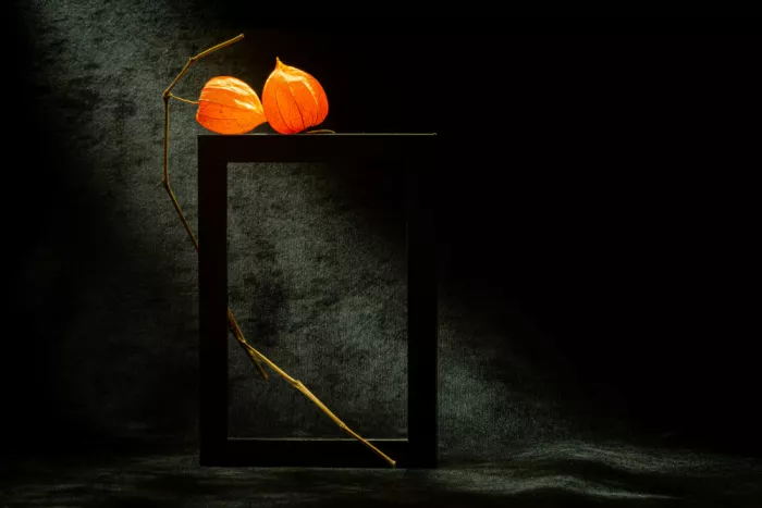 Kopcev, Igor: Natura morta con physalis VII