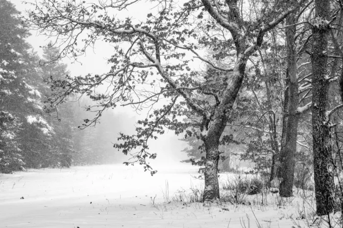Jansen, Arne: Schwelle