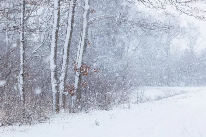 Talen, Nel: Freddo mattino invernale