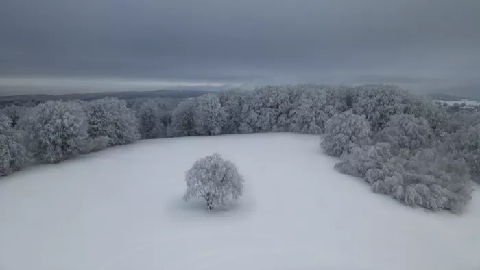 R, Bogdan Mihai: Le Seul