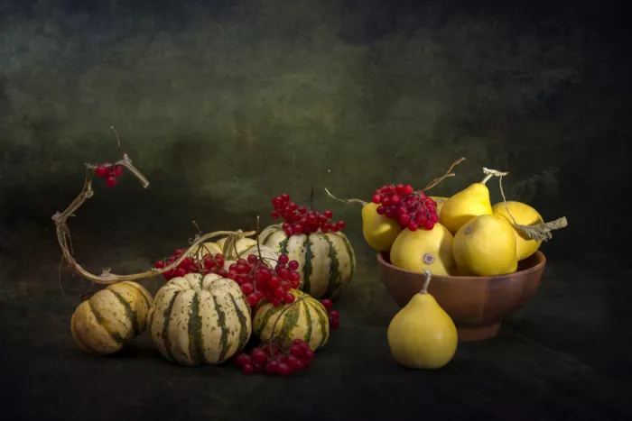 Barkow, Brig: Citrouilles et baies de viorne rouge mûre sur fond sombre