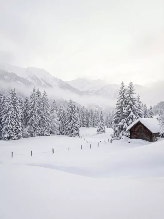 Magnusson, Andreas: Invierno en el campo