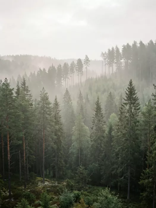 Magnusson, Andreas: Ausblick vom Hügel