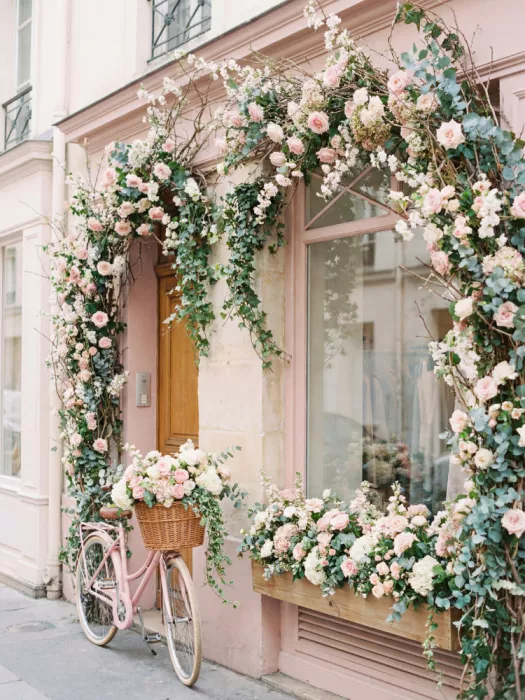 Magnusson, Andreas: La bicicleta rosa