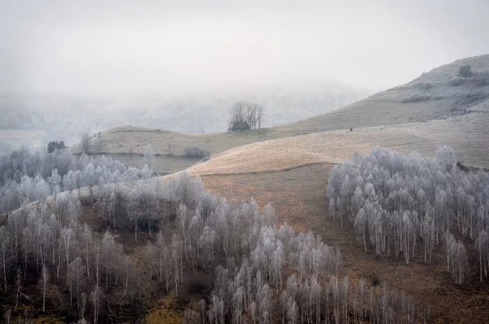 Andrica, Eduard: Cold morning