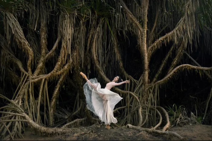 Szmidt, Waldemar: Danza nella boscaglia