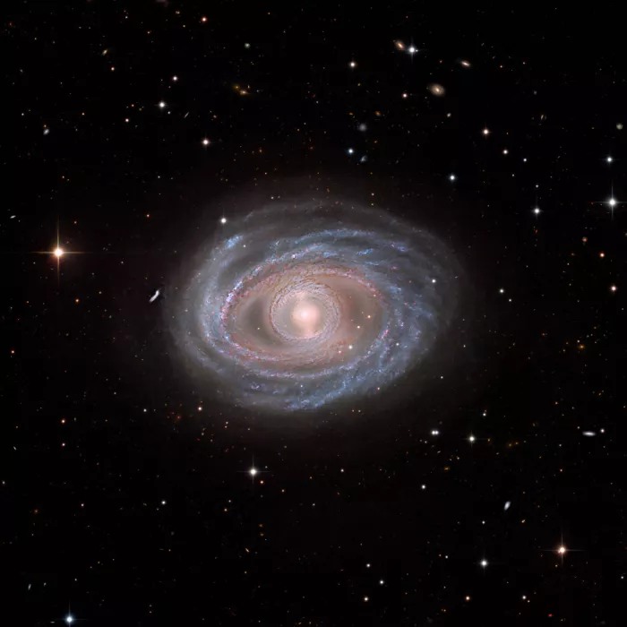 Chander, Vikas: NGC 1398
