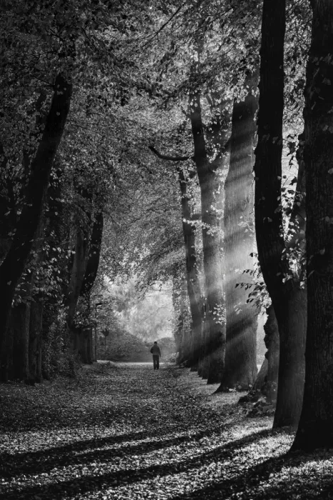Klesse, Andreas: Iluminado por rayos de sol