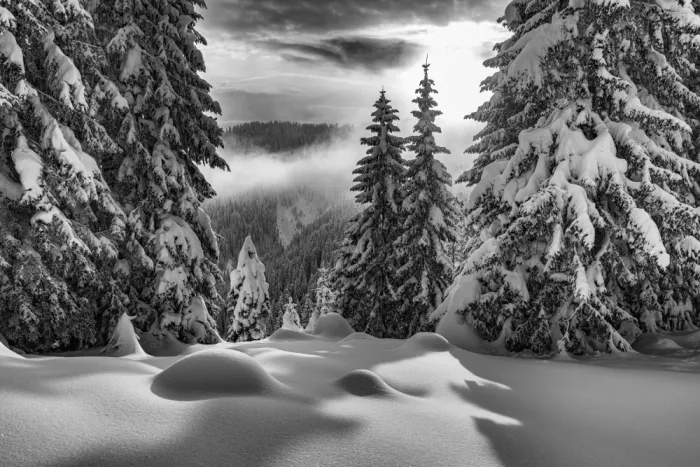 Klabus, Aleš: Bellezza invernale pacifica