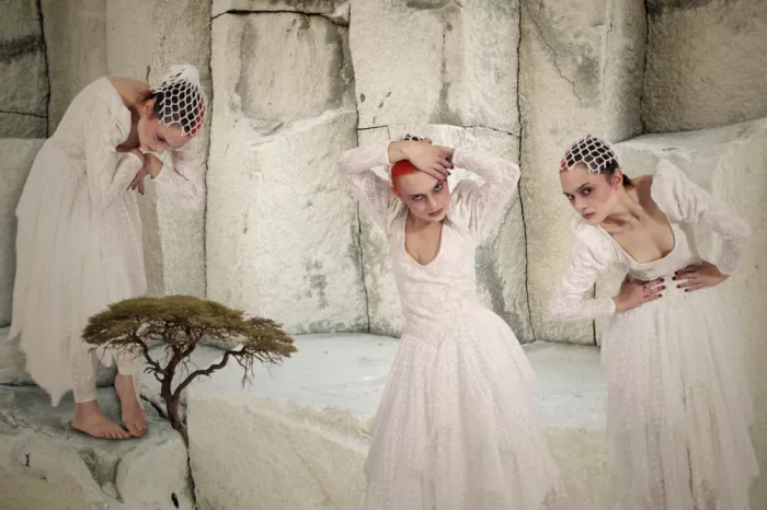 Diepenbroek, von Christine: three nymphs