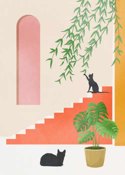 Nadjaa: Cat Space II