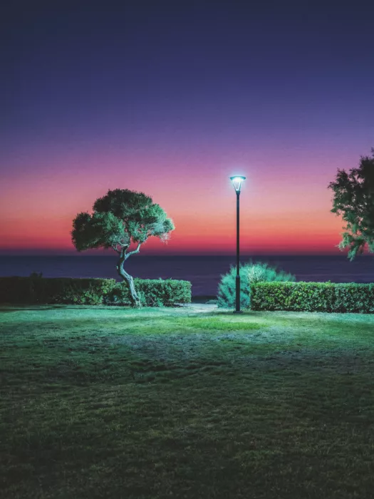 Magnusson, Andreas: The Lamppost
