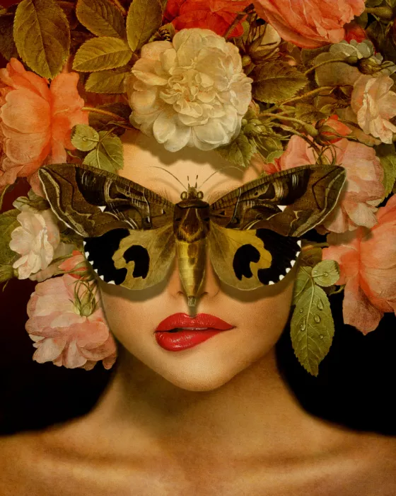 den, van Marja: The Butterfly Effect