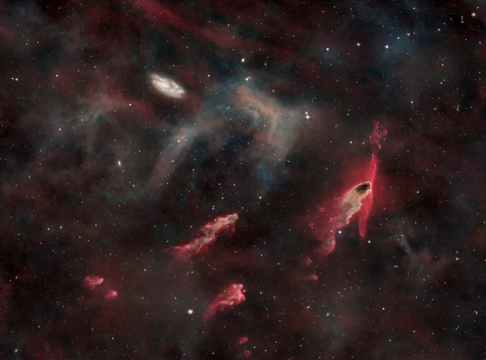 Chander, Vikas: Globulen und Galaxien
