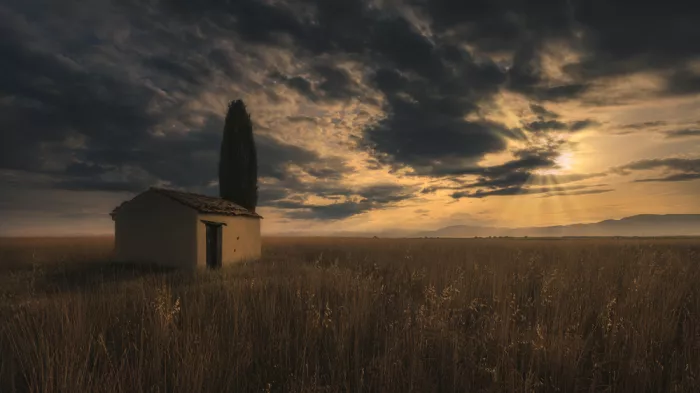 Jimenez, Paco: Valensole-Felder