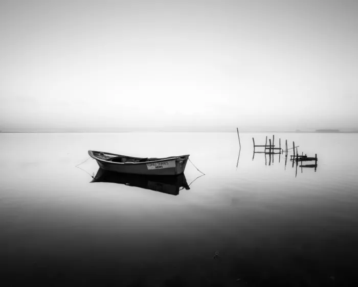 Faria, Marco: ***