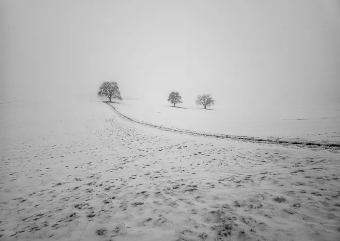Marcel, Streiff: Brüder im Nebel