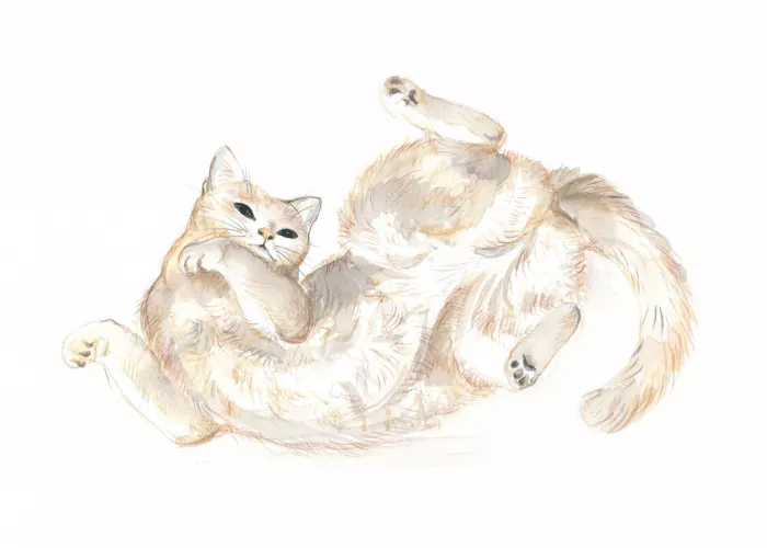 Brent, Isabelle: Gato juguetón