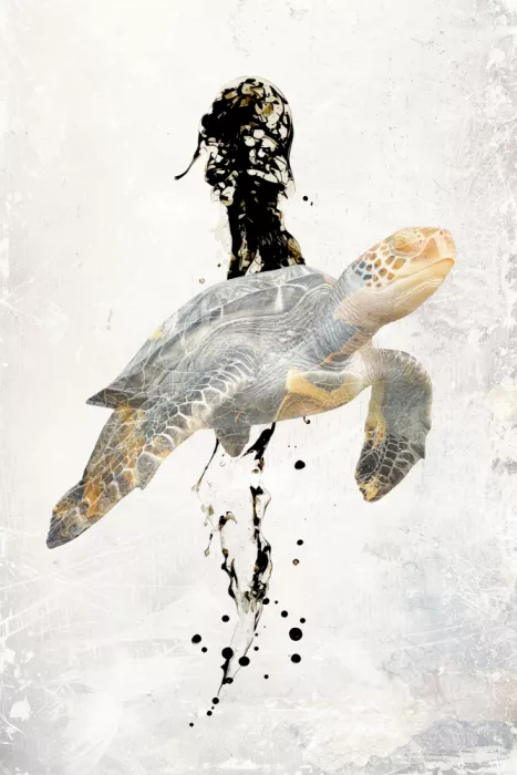 Kulik, Rafal: Composition artistique surréaliste avec une tortue marine, éclaboussure d